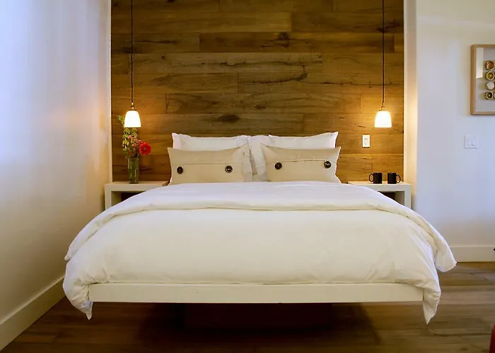 The Grand Idyllwild Lodge